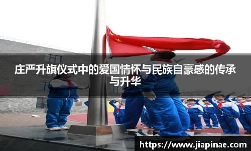 DG视讯官网