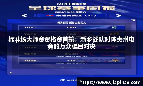 DG视讯