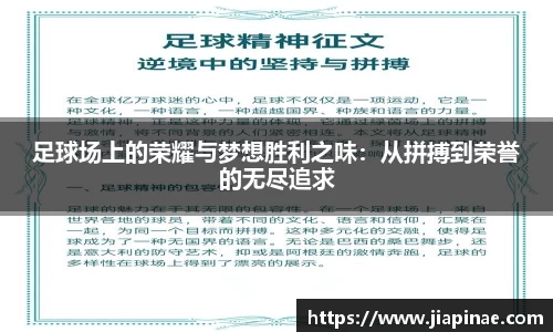 DG视讯