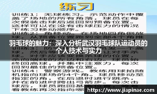 羽毛球的魅力：深入分析武汉羽毛球队运动员的个人技术与实力